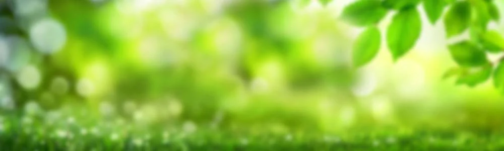 MotorLand: Profi-Power für Ihren Garten
