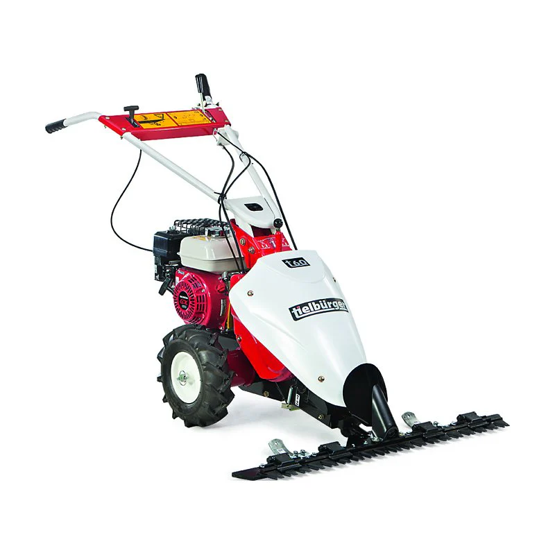 Tielbürger Balkenmäher t60 Honda GX160